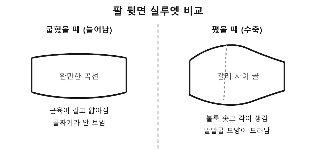 삼두근 — 팔을 펼 때 뒤에서 밀어내는 근육 도식
