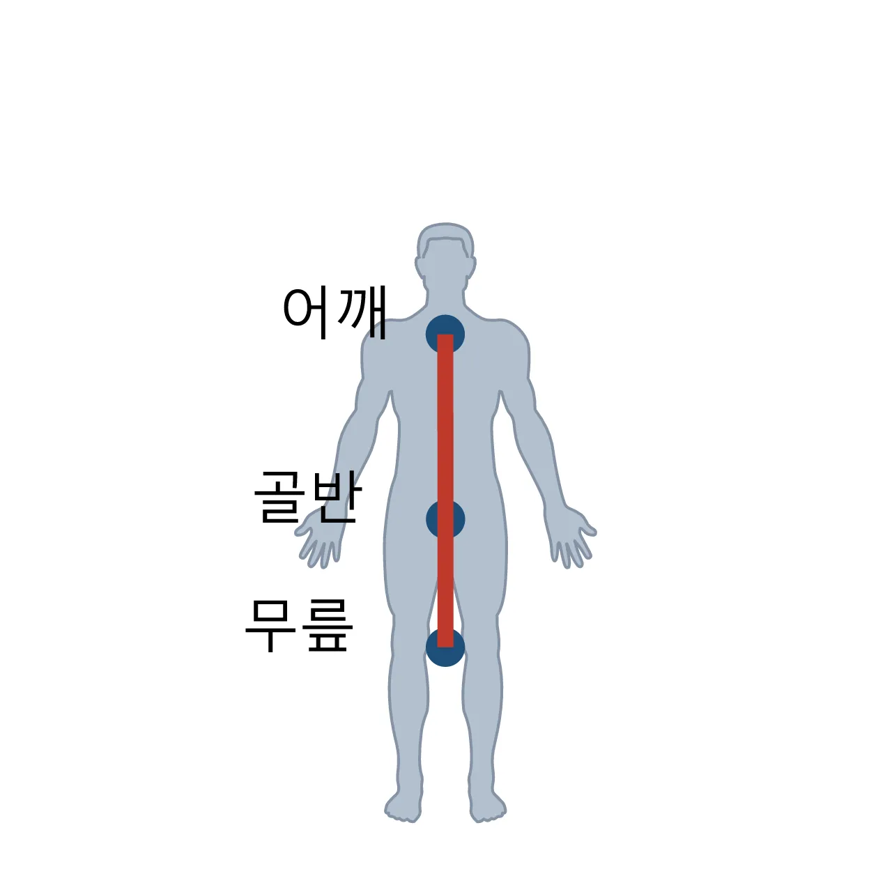 Pose: 다이빙 — 공중에서 몸을 접고 펴기 도식