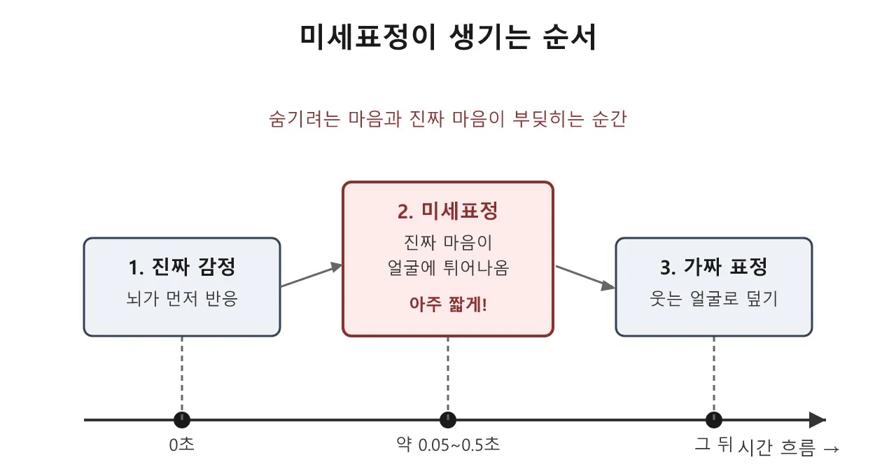 미세표정: 얼굴에 0.1초 스쳐가는 진짜 마음 도식