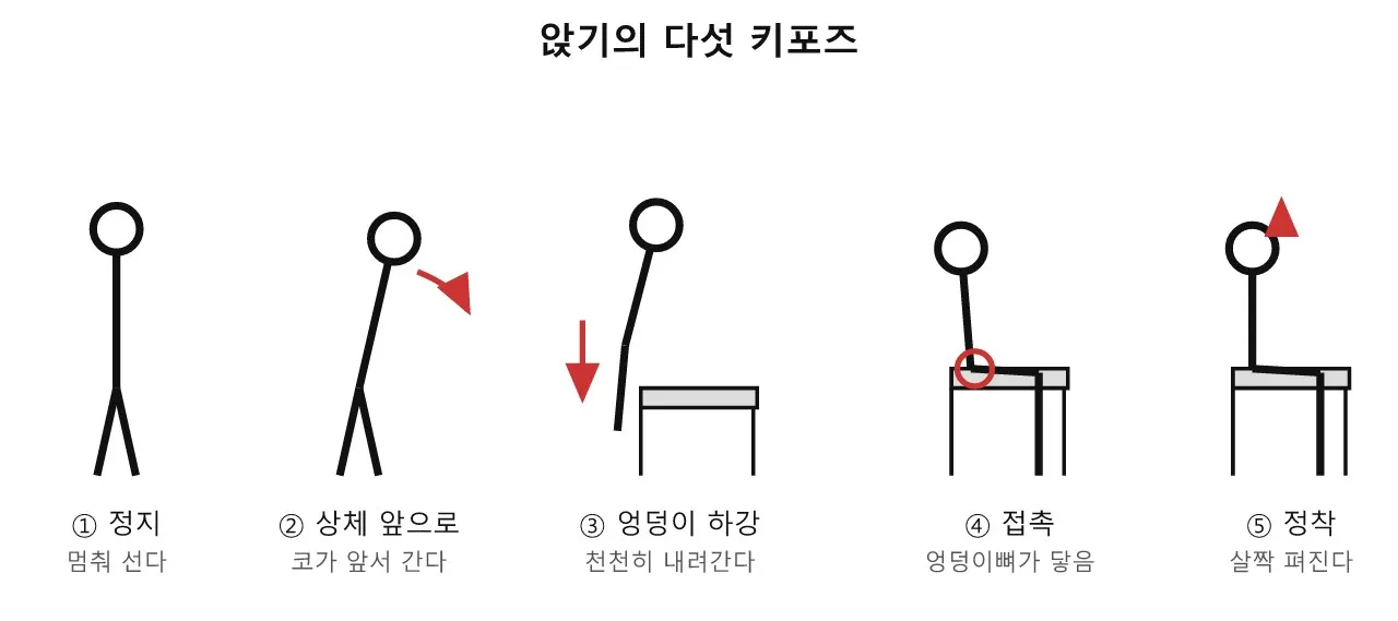 앉기 — 뒤로 무너지지 않고, 천천히 내려앉기 도식