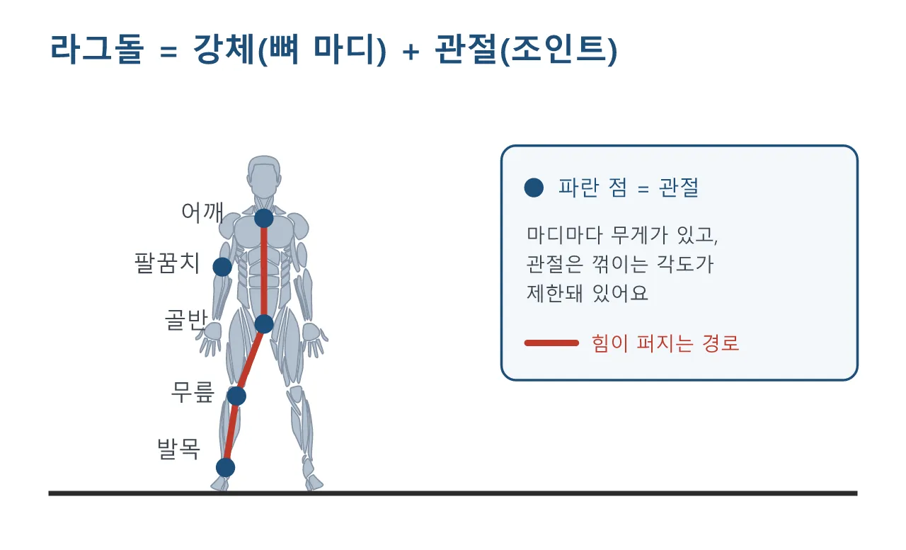 언리얼 애님블루프린트·컨트롤릭: 랙돌 물리 도식