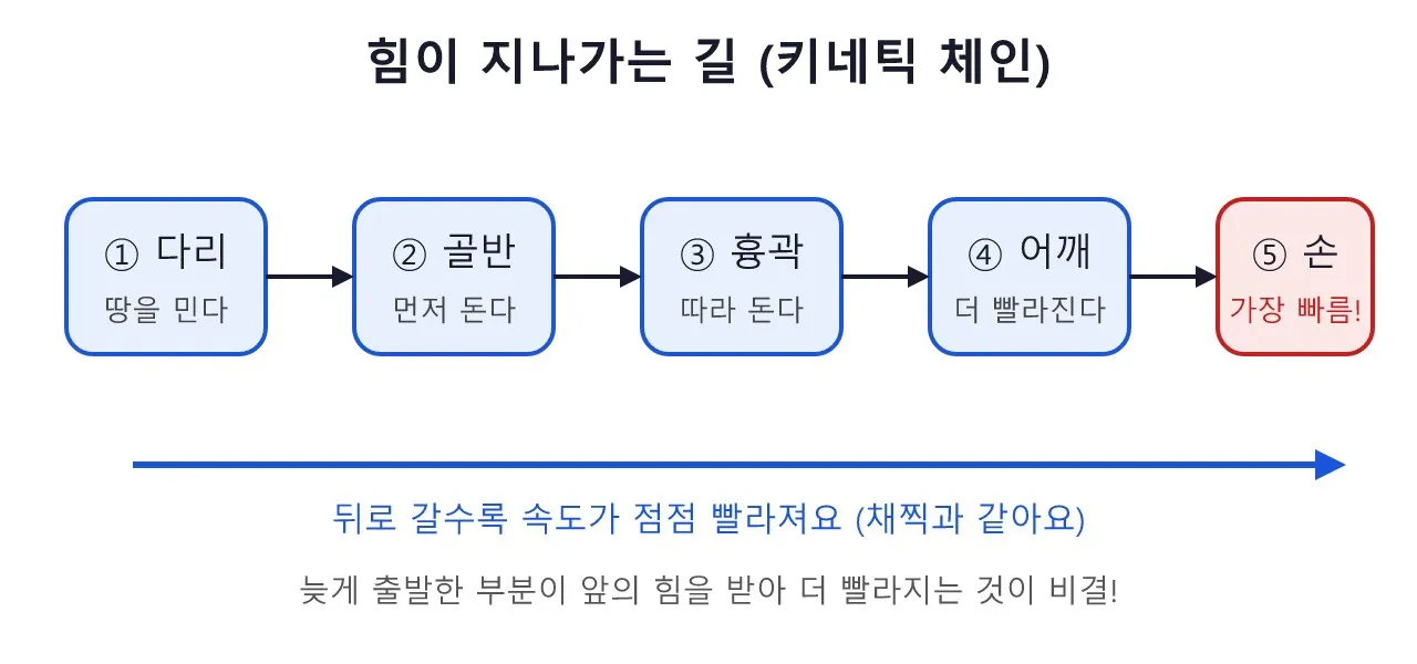 Pose: 던지기 — 몸 전체가 채찍이 되는 동작 도식