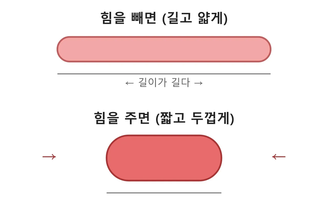근육은 어떻게 부풀어 오르는가? — 근수축의 비밀 도식