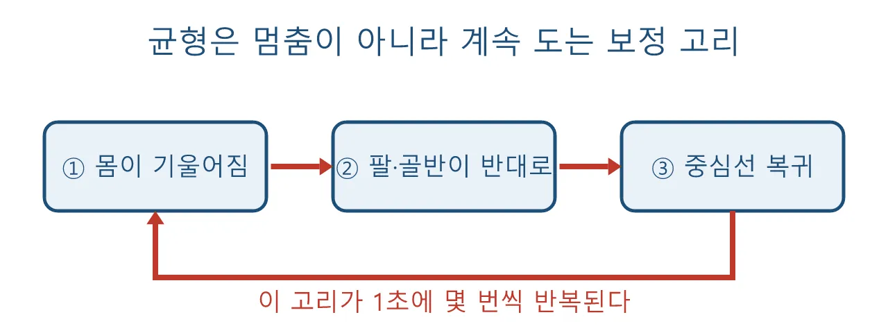 Pose: 줄타기 — 균형을 잡는다는 것 도식