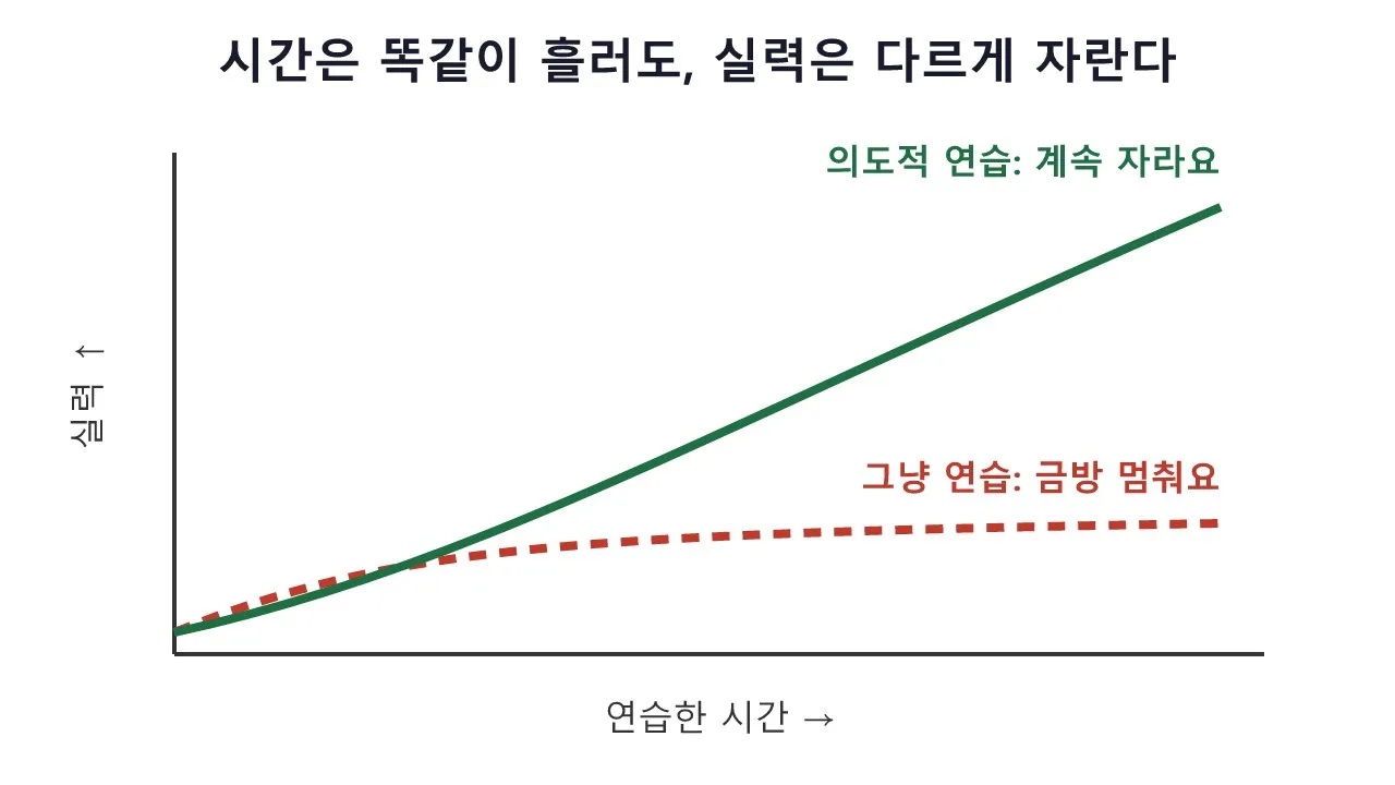 의도적 연습 — 시간을 쌓는 것과 실력을 쌓는 것은 다르다 도식