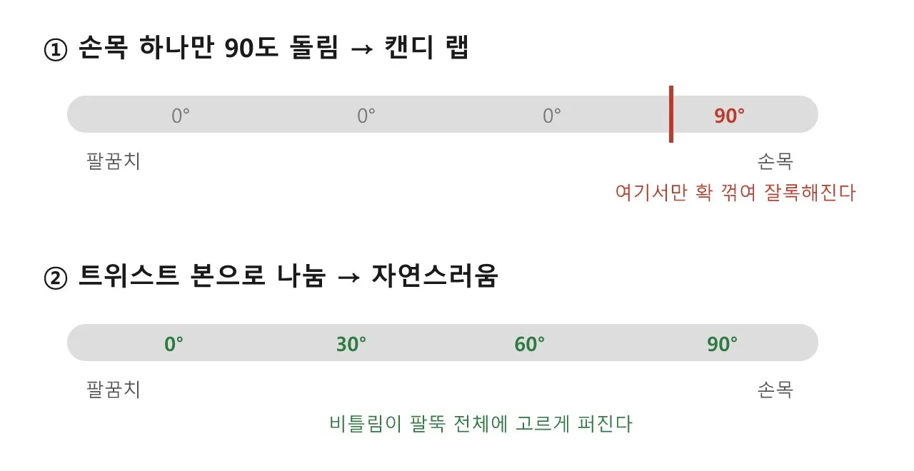 손목을 돌리면, 팔 속에서 뼈가 교차한다 도식