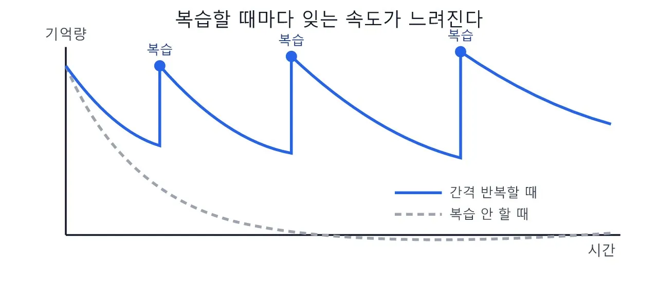마인드셋: 간격 반복 — 잊어버릴 때쯤 다시 보는 것이 핵심이다 도식