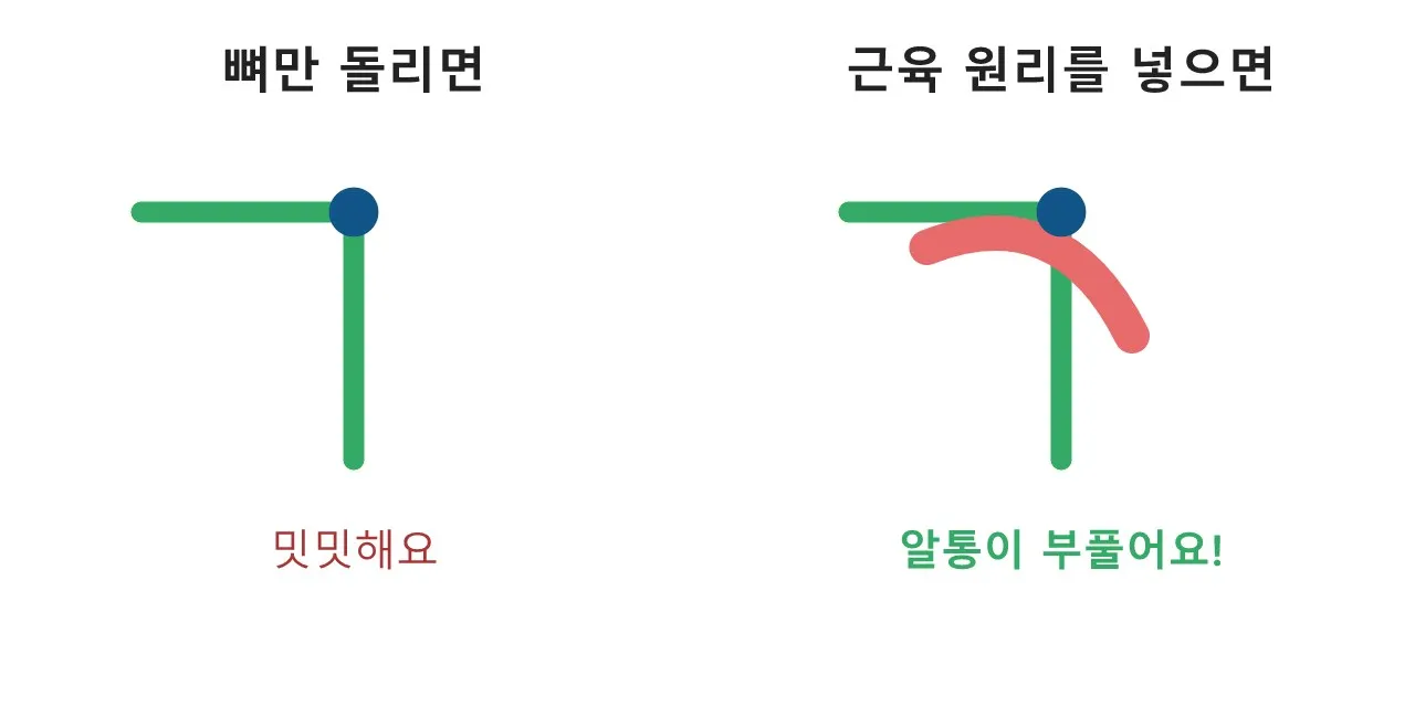 근육은 어떻게 부풀어 오르는가? — 근수축의 비밀 도식