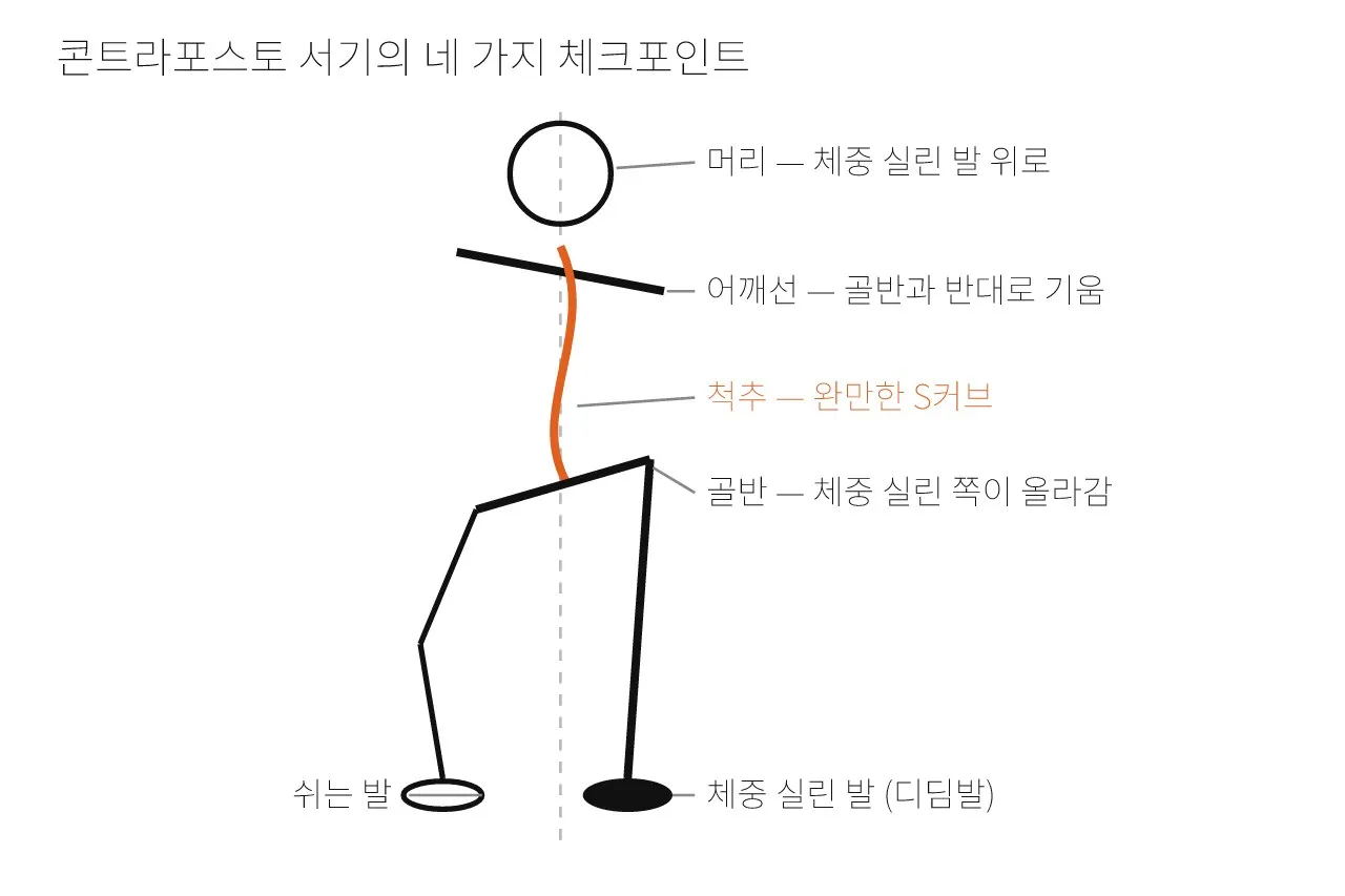 Pose: 서 있기 — 아무것도 하지 않는 포즈가 가장 어렵다 도식