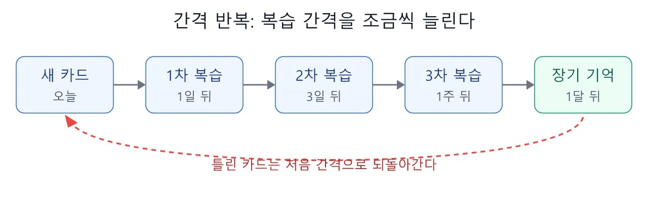 마인드셋: 간격 반복 — 잊어버릴 때쯤 다시 보는 것이 핵심이다 도식