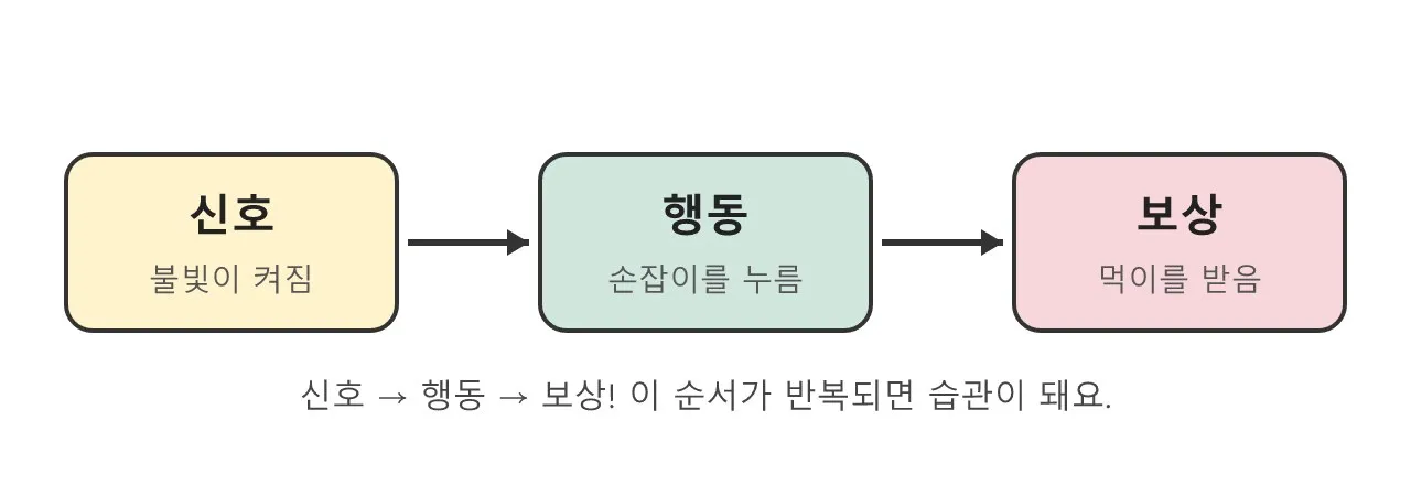 행동이 습관이 되는 비밀: 강화 학습 이야기 도식