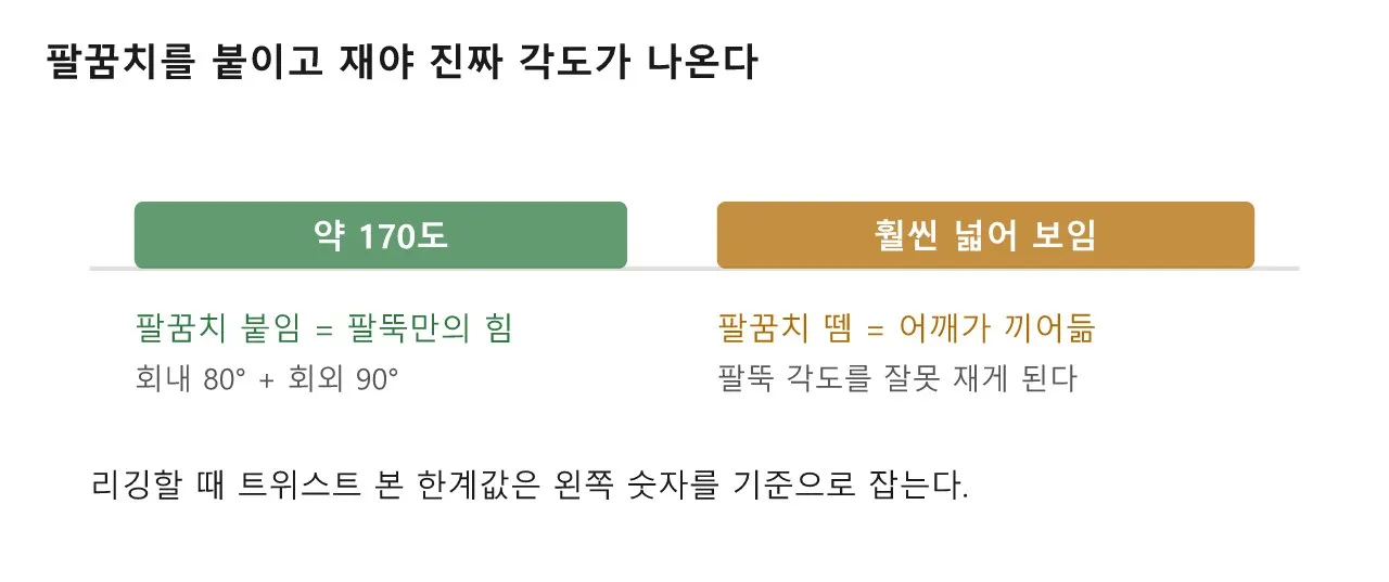 손목을 돌리면, 팔 속에서 뼈가 교차한다 도식