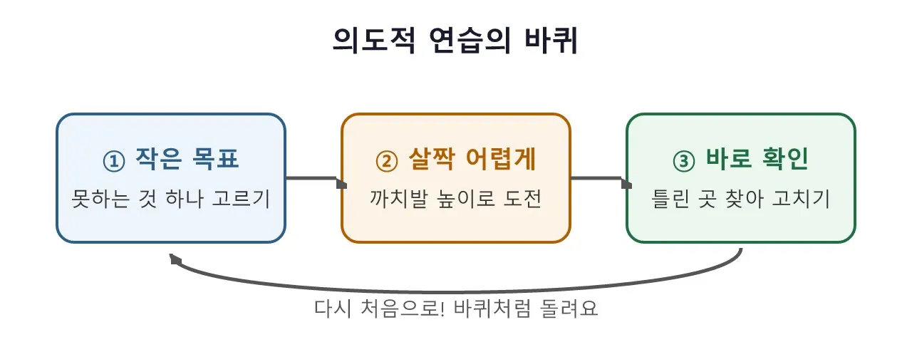 의도적 연습 — 시간을 쌓는 것과 실력을 쌓는 것은 다르다 도식
