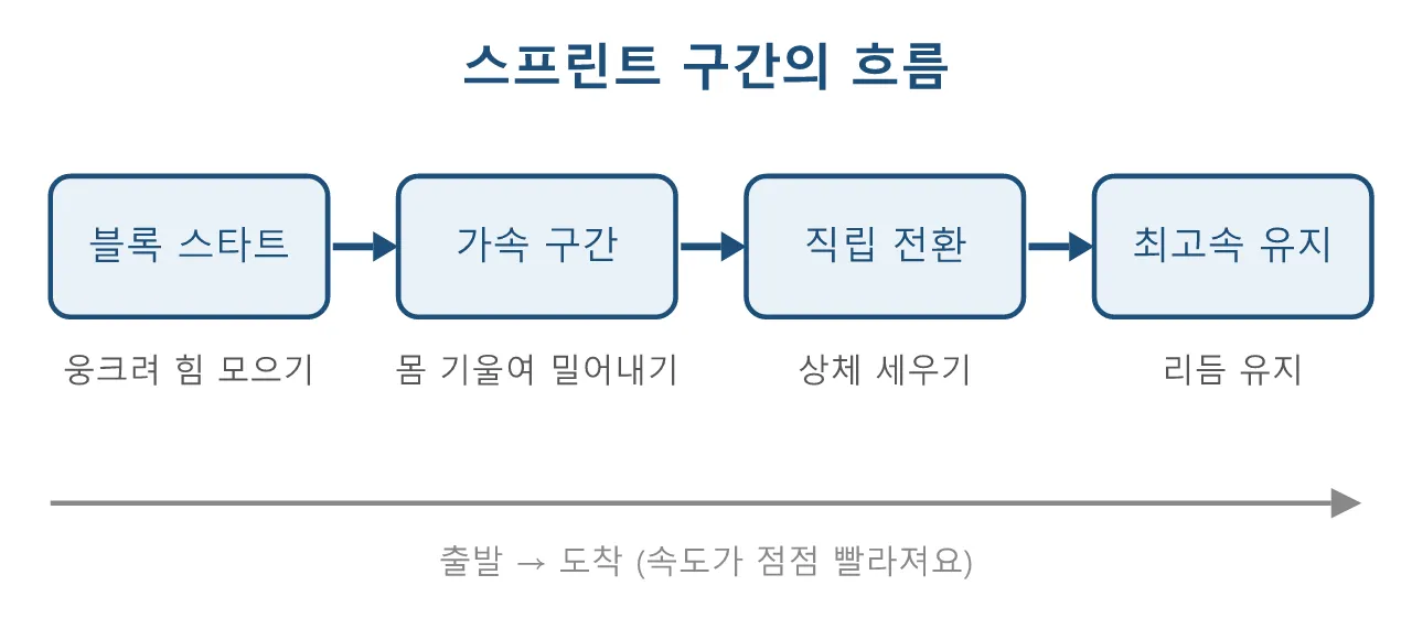 Pose: 전력질주 — 스타트에서 최고속도까지 도식