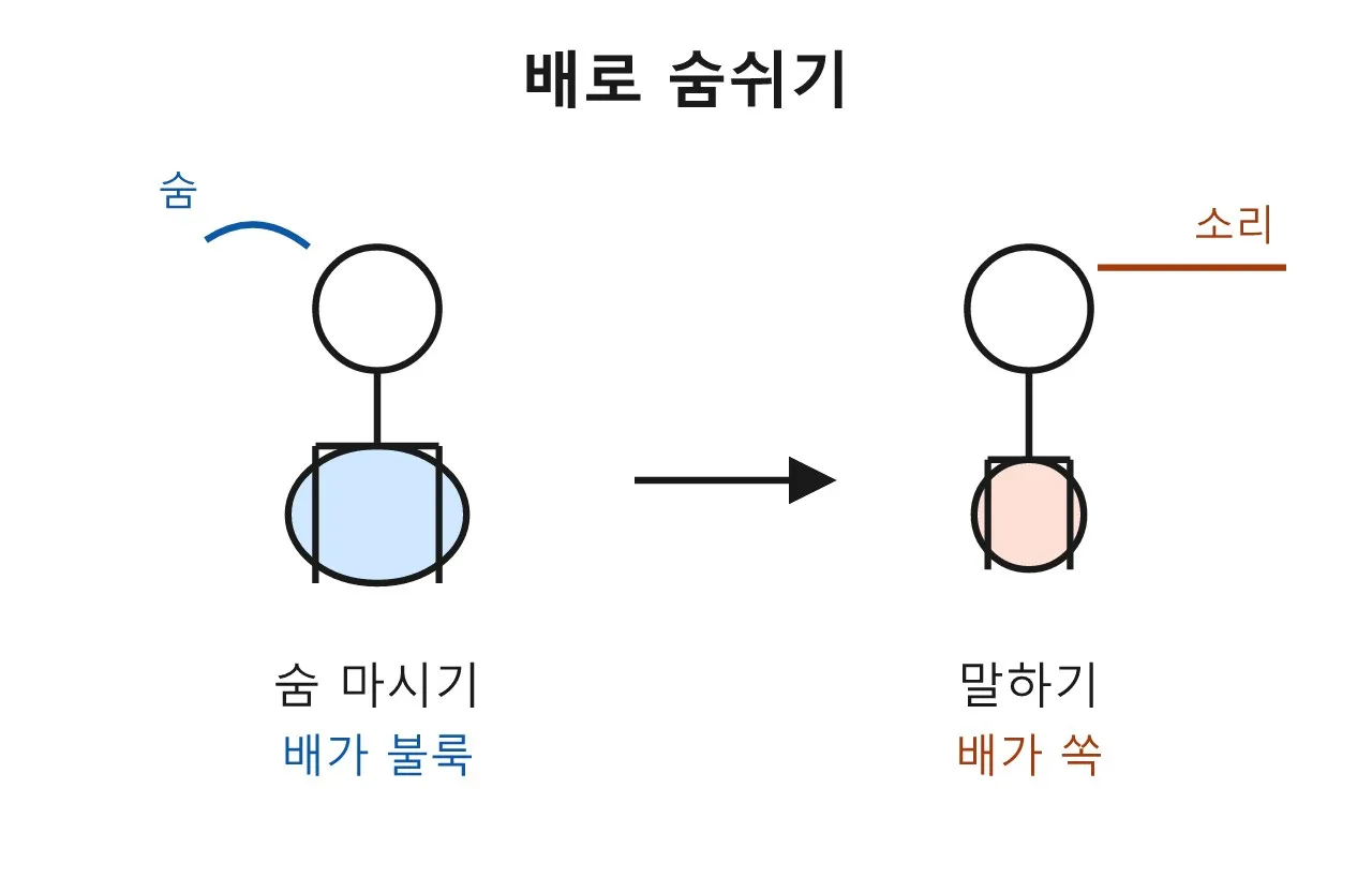 발성과 목소리 연기: 목소리를 멀리 보내는 마법 도식