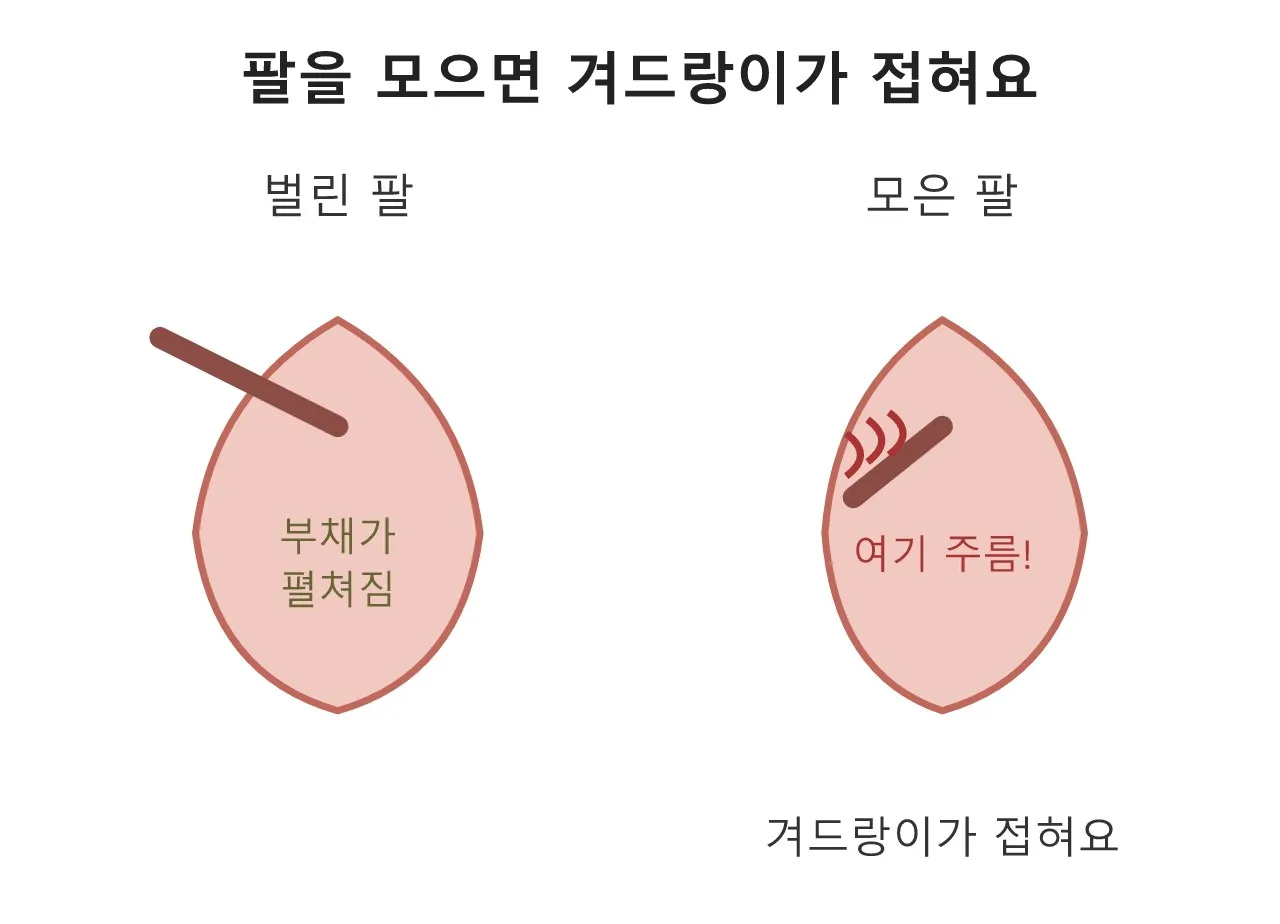 대흉근 이야기 — 팔을 앞으로 모으는 부채꼴 근육 도식