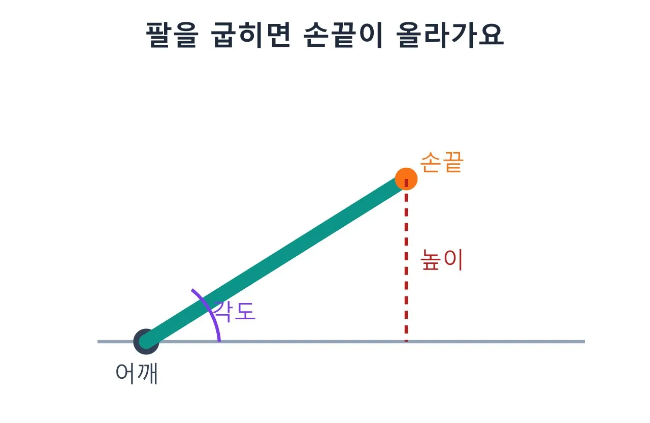 삼각함수: 흔들리는 그네와 팔꿈치 각도의 비밀 도식