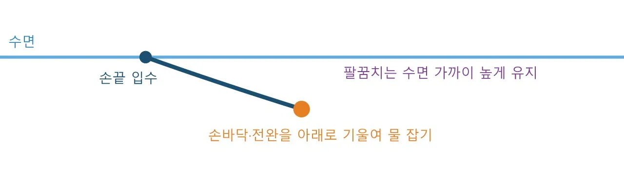 Pose: 수영 — 저항 속에서 움직이는 몸 도식