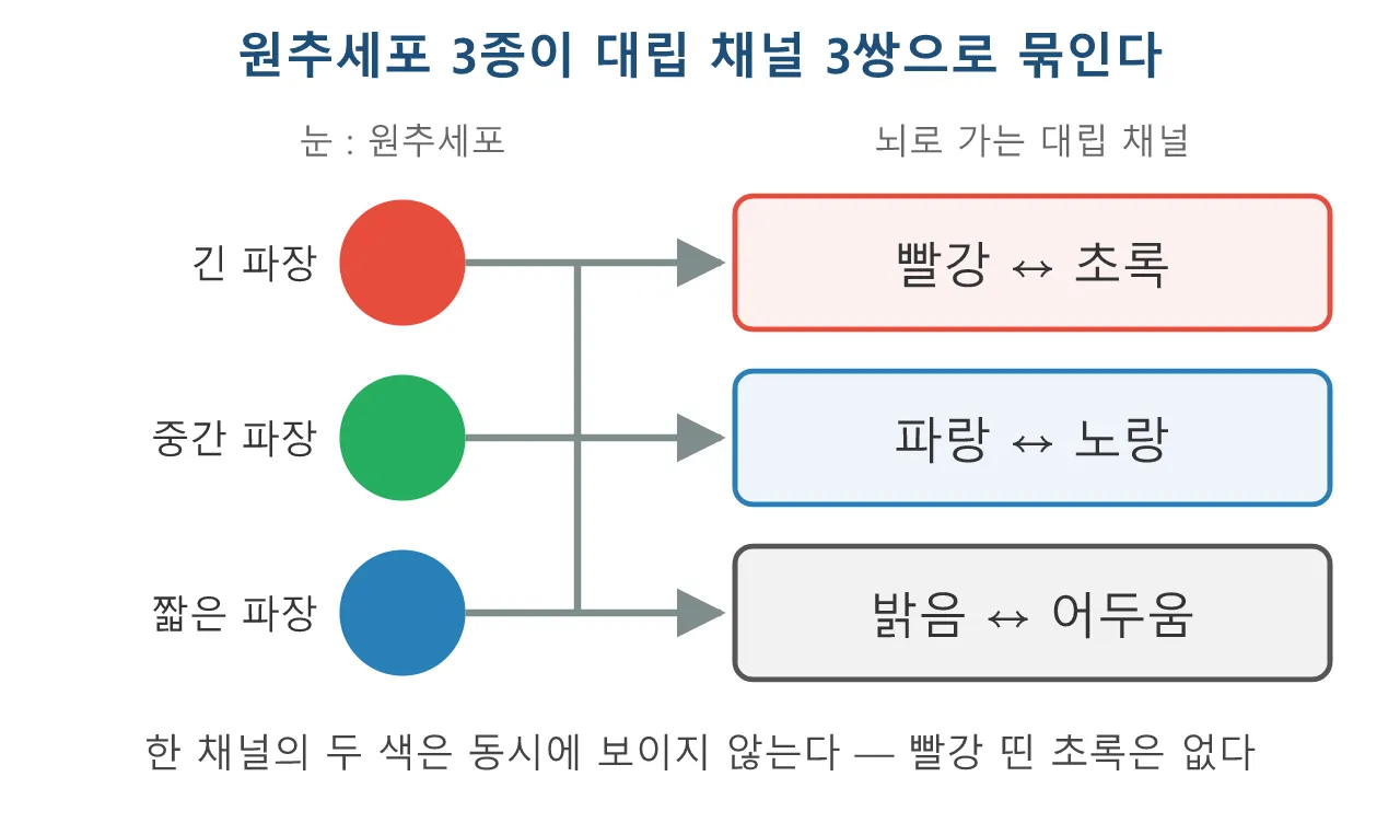 색채학: 반대색설 — 빨강-초록, 파랑-노랑이 짝을 이루는 이유 도식