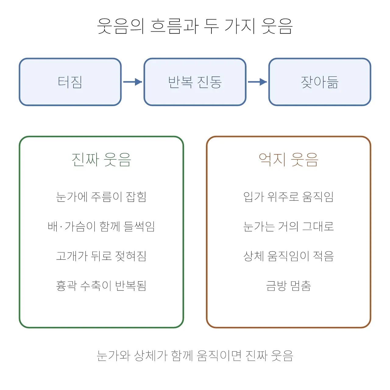 Pose: 웃음 — 얼굴이 아니라 몸이 웃는다 도식