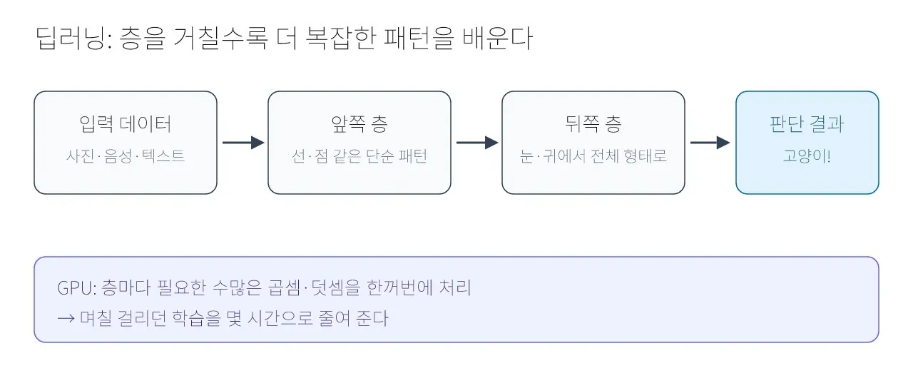 엔비디아 그래픽: 딥러닝과 GPU 그래픽의 만남