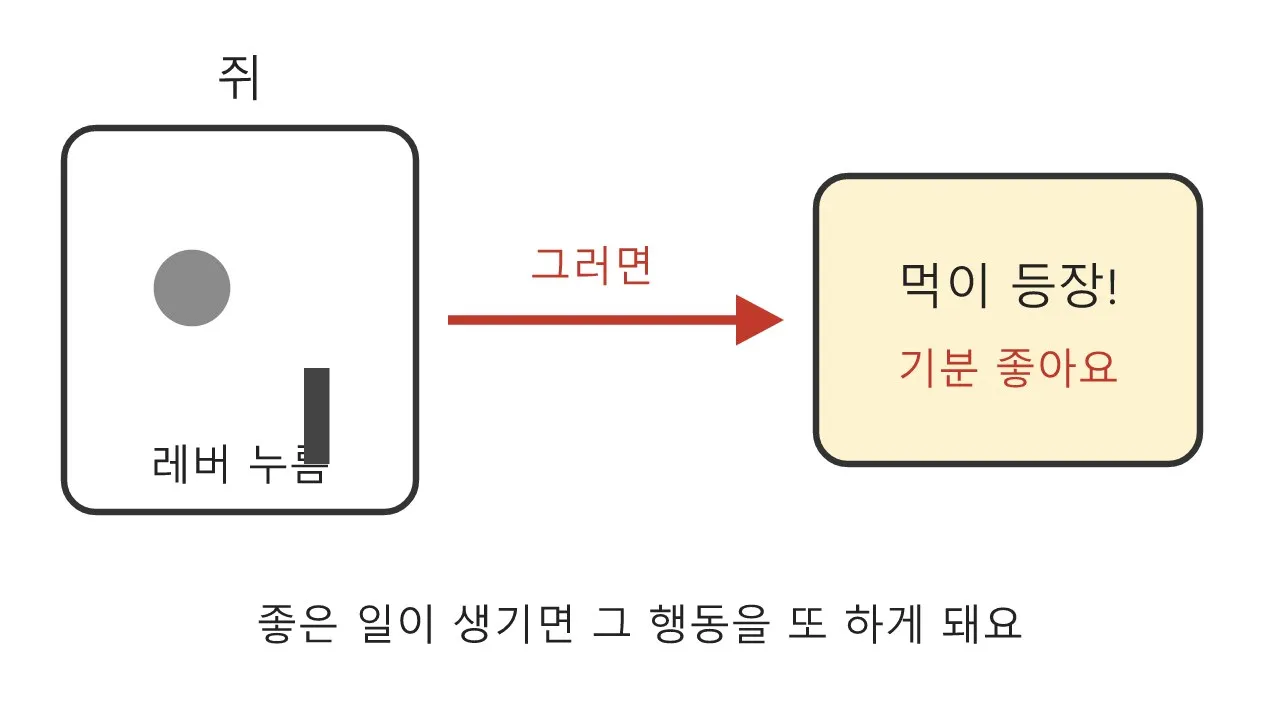 스키너 상자: 레버를 누르는 쥐 이야기 도식