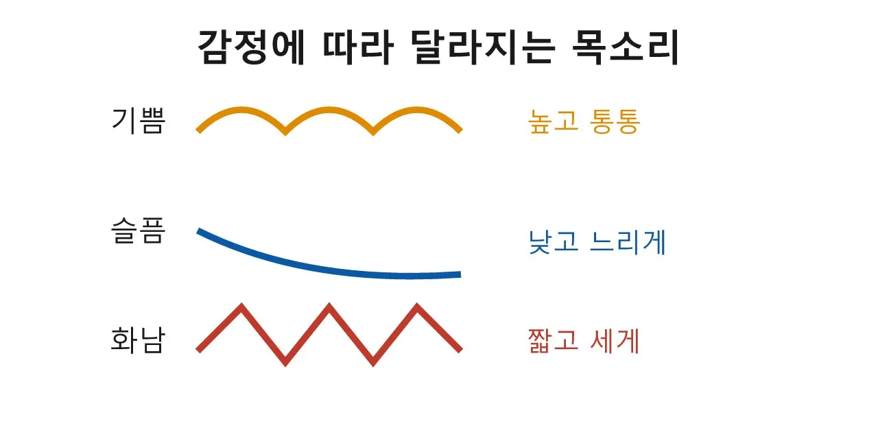 발성과 목소리 연기: 목소리를 멀리 보내는 마법 도식