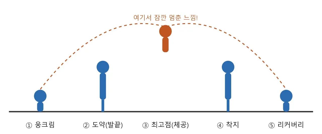 점프 — 웅크림, 도약, 체공, 착지 도식