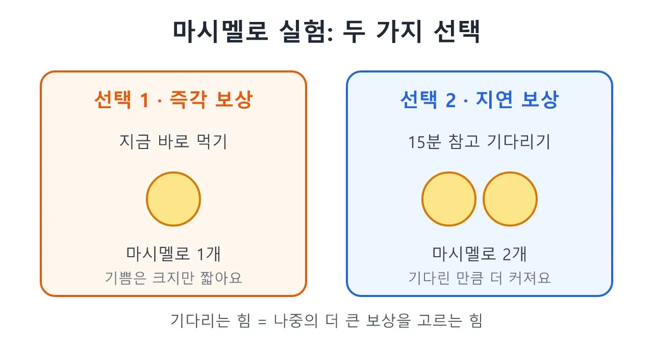 도파민 · 보상 심리: 즉각 보상 vs 지연 보상 — 마시멜로 실험 도식