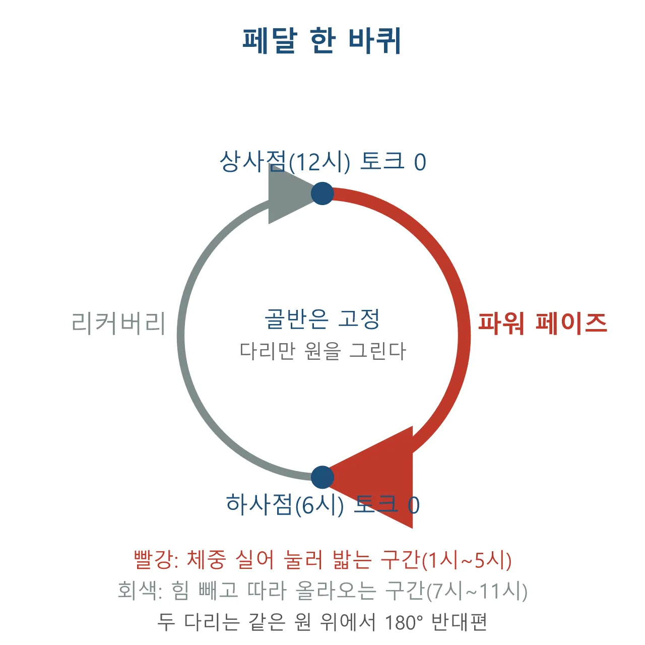Pose: 자전거 타기 — 페달과 골반의 원운동 도식