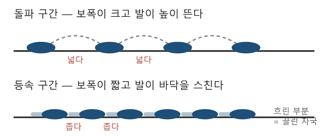 Pose: 밀기 ④ 등속 — 계속 밀고 있는 몸의 반복 포즈 도식