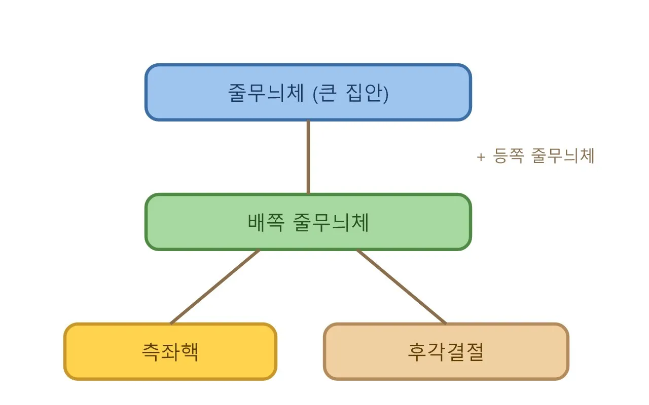 측좌핵 — 우리 머릿속 "기분 좋아!" 스위치 도식