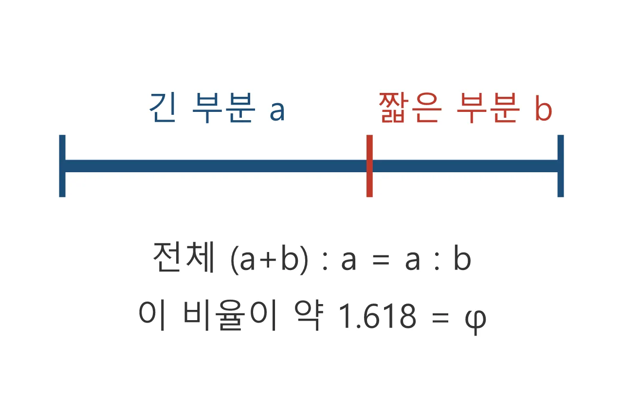 모델링: 황금비 — 눈이 편하다고 느끼는 비율 도식