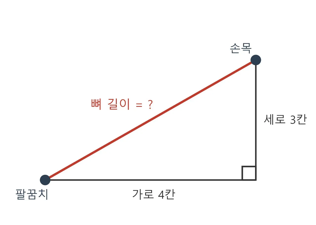 피타고라스 정리 — 두 관절 사이 뼈 길이 재기 도식