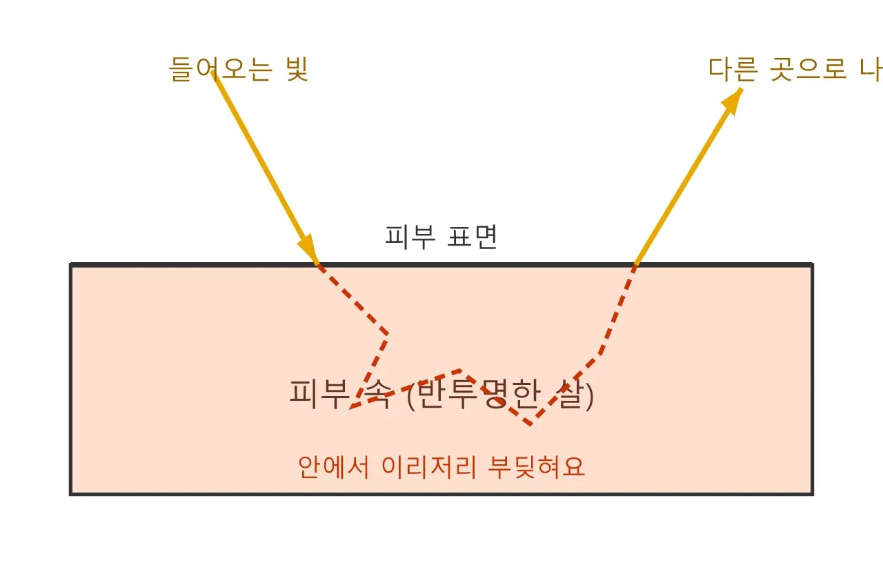 빛이 통과하는 피부의 비밀, 서브서피스 스캐터링 도식
