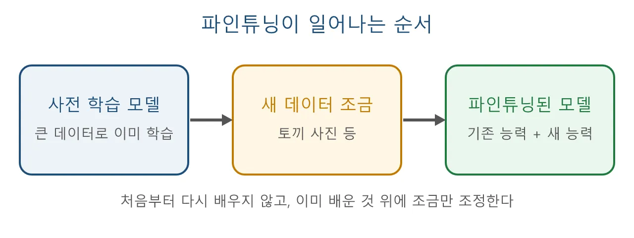 AI 기술: 파인튜닝 도식