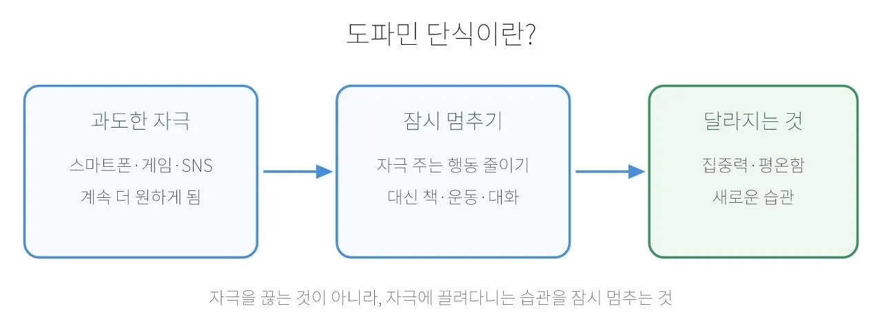 도파민 · 보상 심리: 도파민 단식 — 자극을 줄이면 정말 회복될까 도식