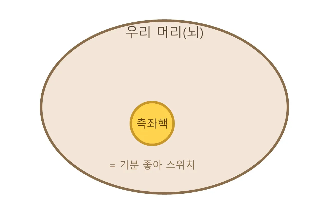 측좌핵 — 우리 머릿속 "기분 좋아!" 스위치 도식