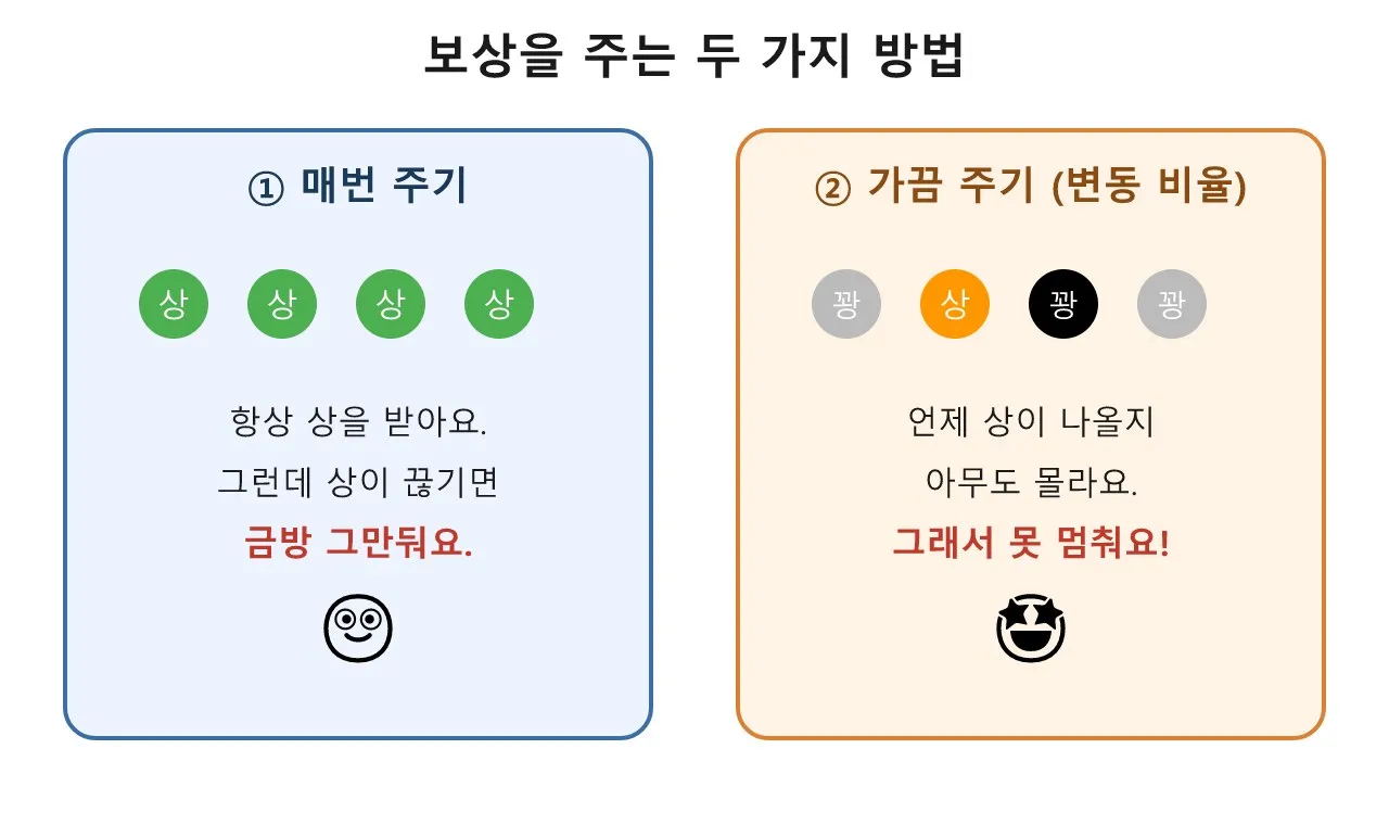 변동 비율 강화 — 도박이 끊기 힘든 진짜 이유 도식