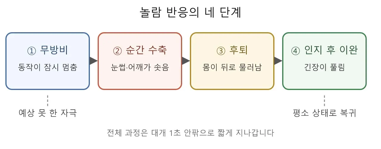 Pose: 놀람 — 0.1초에 몸이 하는 일 도식