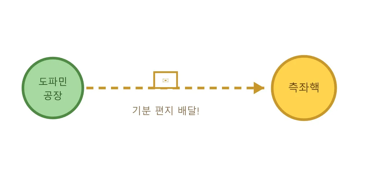 측좌핵 — 우리 머릿속 "기분 좋아!" 스위치 도식